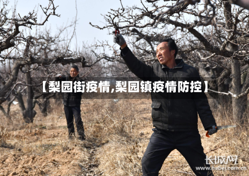 【梨园街疫情,梨园镇疫情防控】