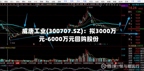 威唐工业(300707.SZ)：拟3000万元-6000万元回购股份