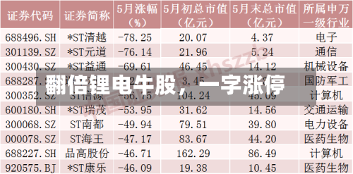 翻倍锂电牛股，一字涨停-第2张图片
