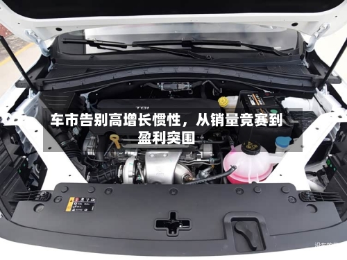 车市告别高增长惯性，从销量竞赛到盈利突围-第3张图片