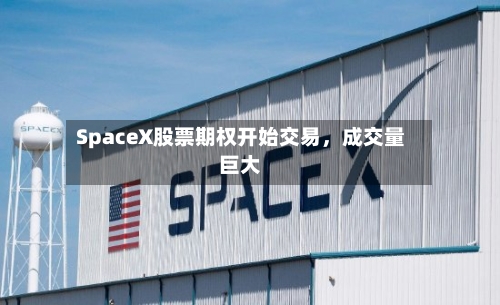 SpaceX股票期权开始交易，成交量巨大-第2张图片