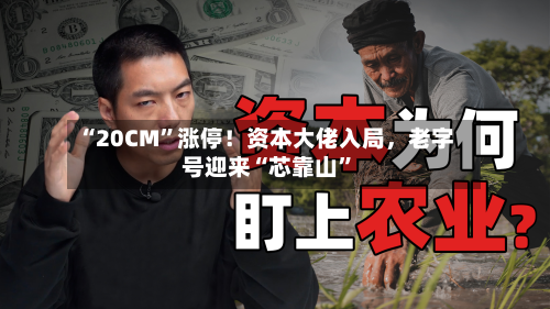 “20CM”涨停！资本大佬入局，老字号迎来“芯靠山”-第3张图片