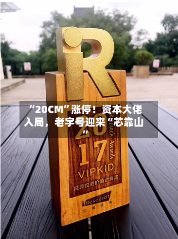 “20CM”涨停！资本大佬入局，老字号迎来“芯靠山	”-第2张图片