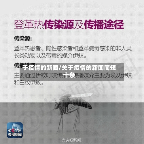 于疫情的新闻/关于疫情的新闻简短十条