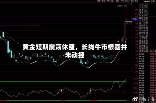 黄金短期震荡休整，长线牛市根基并未动摇-第3张图片