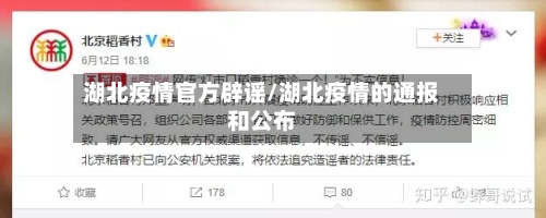 湖北疫情官方辟谣/湖北疫情的通报和公布-第3张图片
