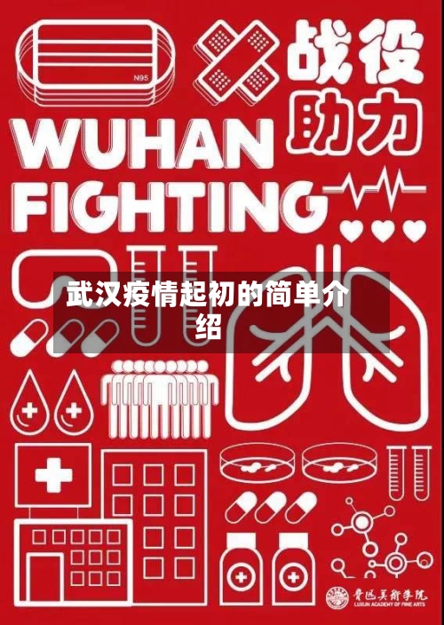 武汉疫情起初的简单介绍