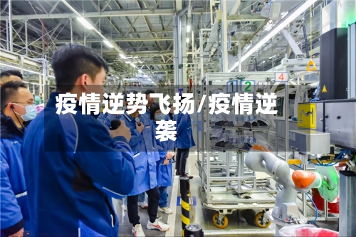 疫情逆势飞扬/疫情逆袭