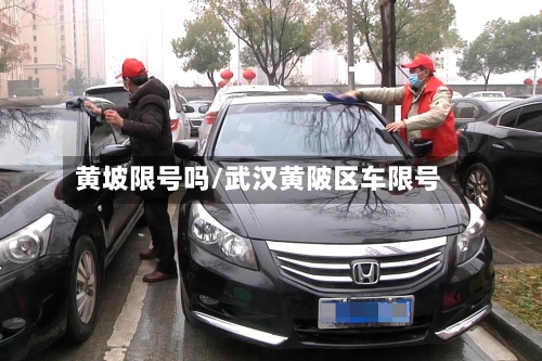黄坡限号吗/武汉黄陂区车限号