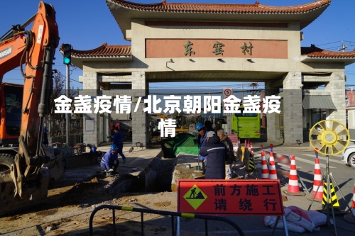 金盏疫情/北京朝阳金盏疫情-第3张图片