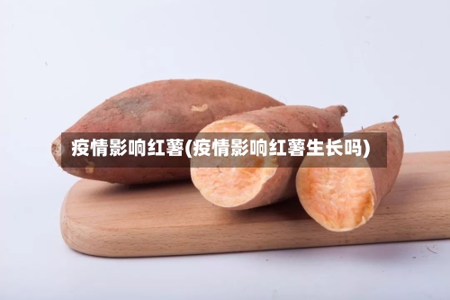 疫情影响红薯(疫情影响红薯生长吗)-第3张图片